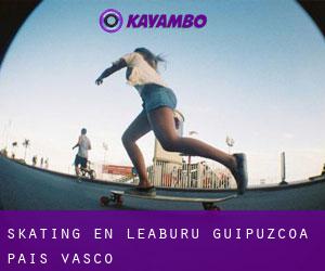 skating en Leaburu (Guipúzcoa, País Vasco)