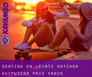 skating en Leintz-Gatzaga (Guipúzcoa, País Vasco)