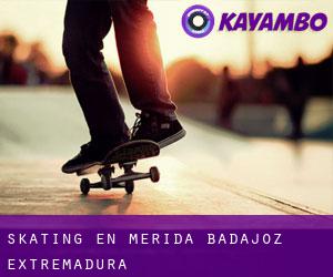 skating en Mérida (Badajoz, Extremadura)