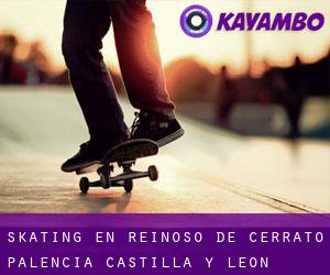 skating en Reinoso de Cerrato (Palencia, Castilla y León)