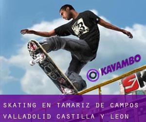 skating en Tamariz de Campos (Valladolid, Castilla y León)