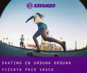 skating en Urduña / Orduña (Vizcaya, País Vasco)